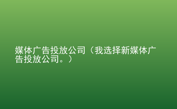  媒體廣告投放公司（我選擇新媒體廣告投放公司。）