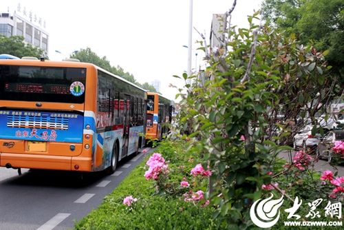  日照 公交車投放廣告，日照公交車投放廣告宣傳