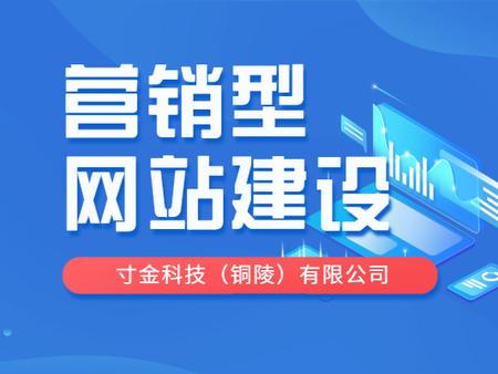 湖南企業(yè)級(jí)網(wǎng)站開發(fā)（湖南營銷型網(wǎng)站建設(shè)）