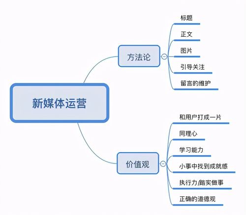 新媒體廣告投放的一般流程（數(shù)字營(yíng)銷(xiāo)策略的執(zhí)行步驟）